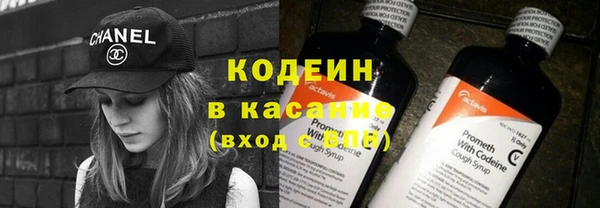 прущие грибы Абаза