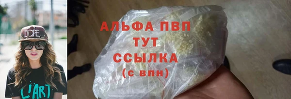 прущие грибы Абаза
