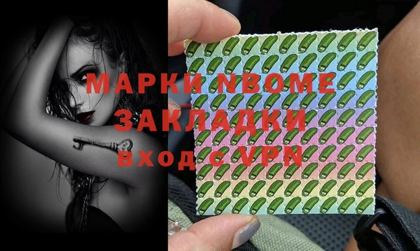 прущие грибы Абаза