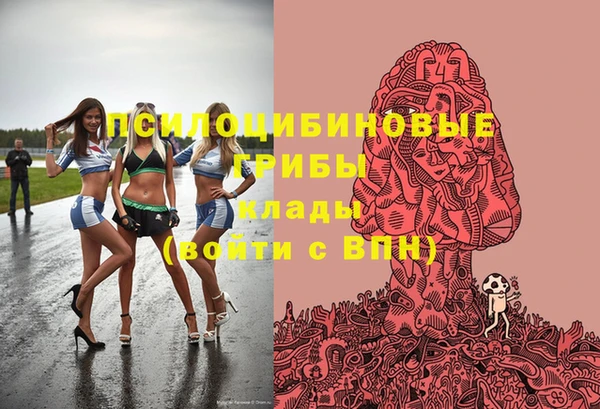 прущие грибы Абаза
