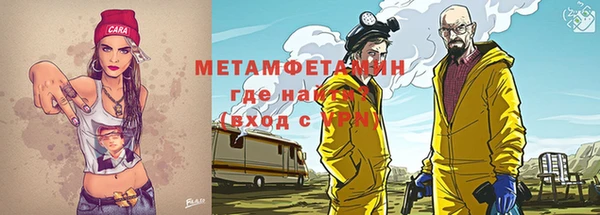 прущие грибы Абаза