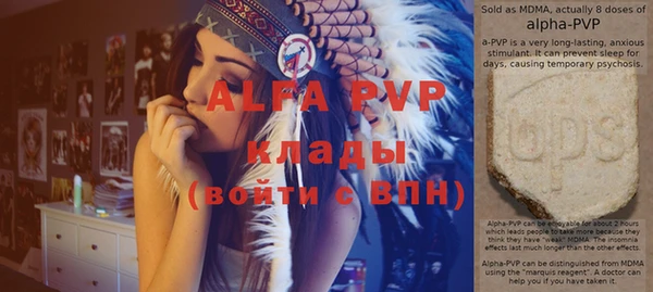 прущие грибы Абаза