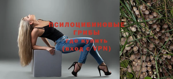 стаф Алексин